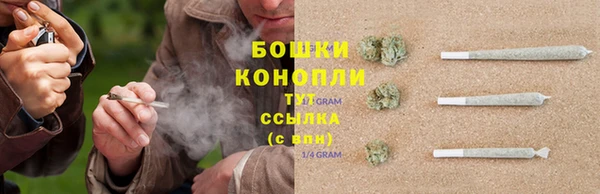 твердый Армянск
