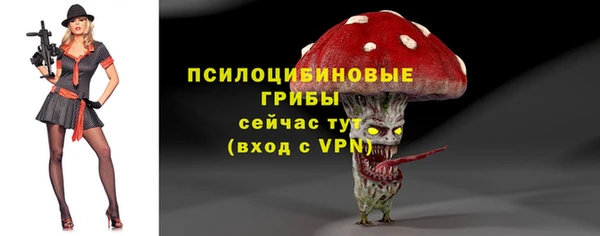 ГАЛЛЮЦИНОГЕННЫЕ ГРИБЫ Пересвет