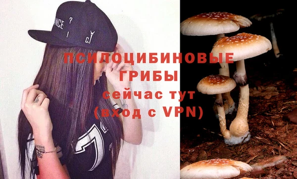 твердый Армянск