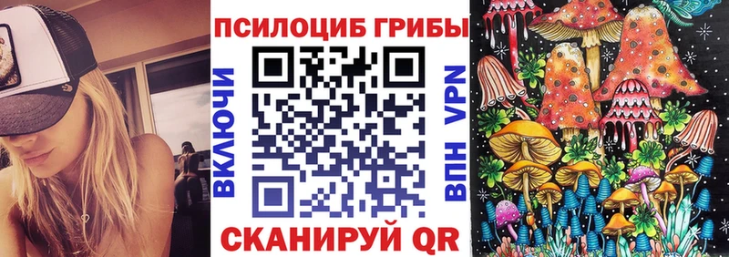 MEGA ONION  купить  цена  Багратионовск  Галлюциногенные грибы Psilocybe 